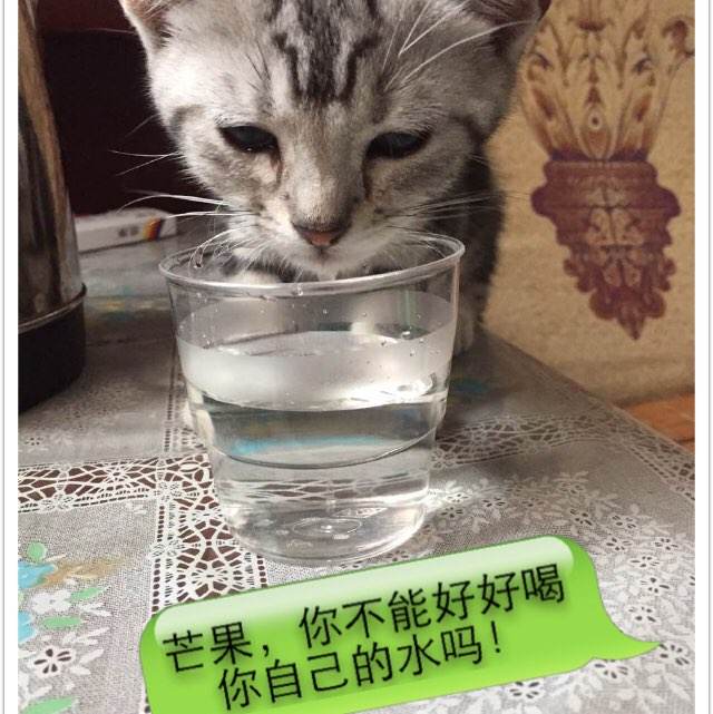 买个假的拉夫伯勒学院学位证
